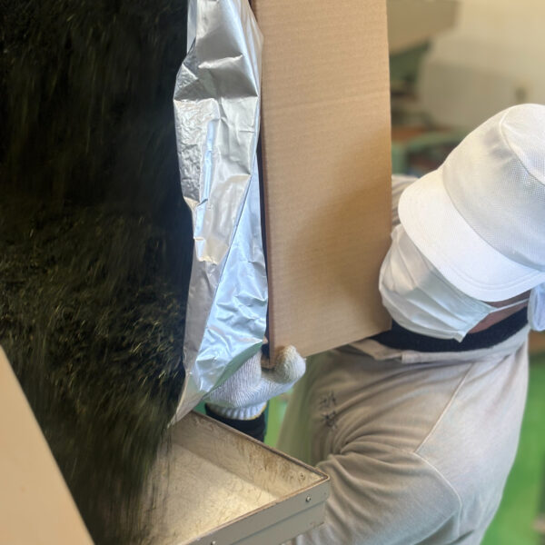 🌱新茶追加しました！